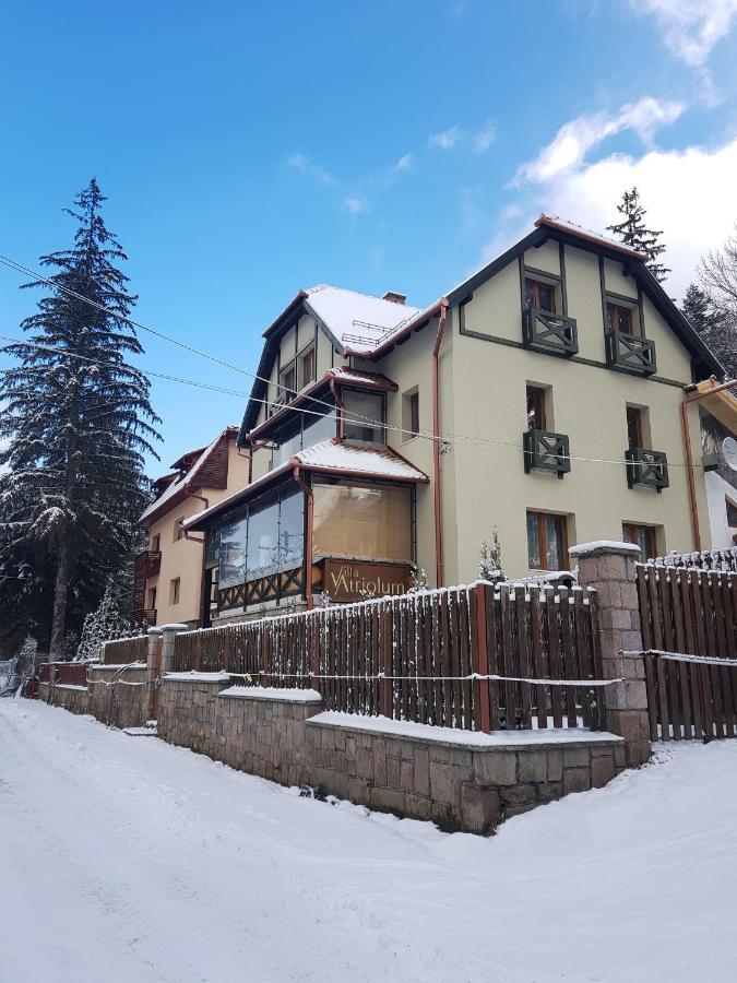 Villa Atriolum Baile Tusnad Bagian luar foto
